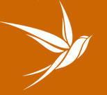 IVAB Logo
